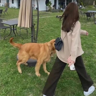 风流女秘书
